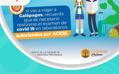 Authorized laboratories for the covid-19 test for entry to the Galapagos Islands