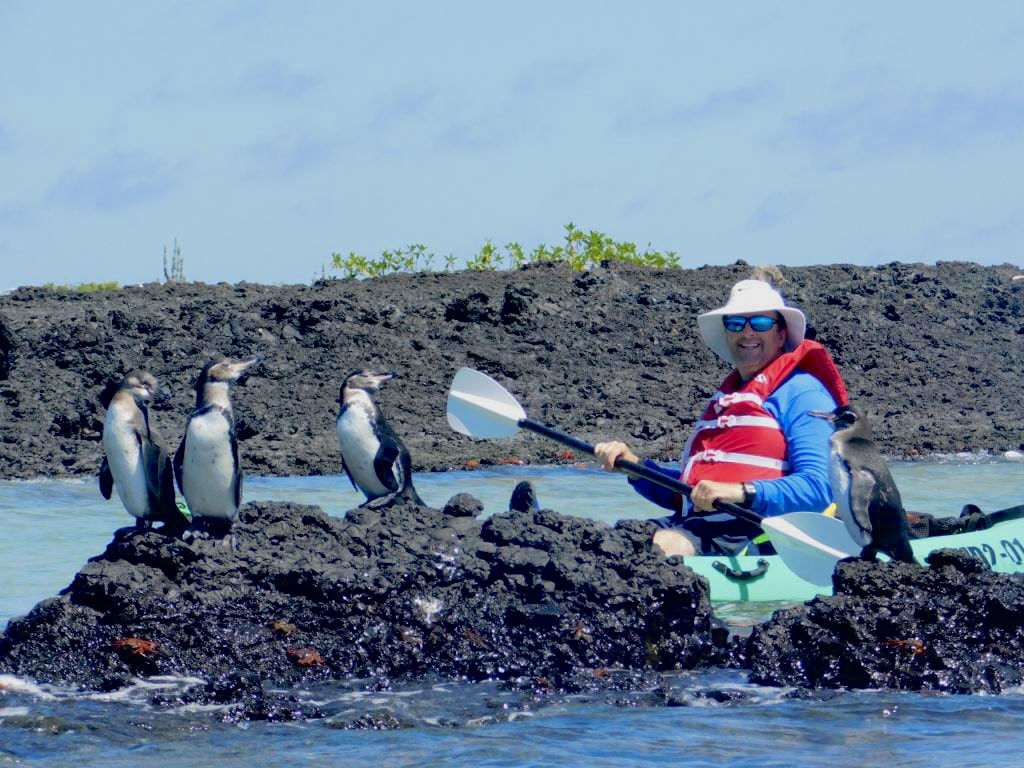 tortugas marinas en galapagos