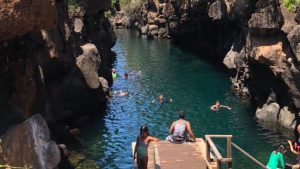 tour de Bahía en Santa Cruz Galápagos