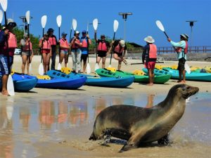tour kayak Isla Isabela
