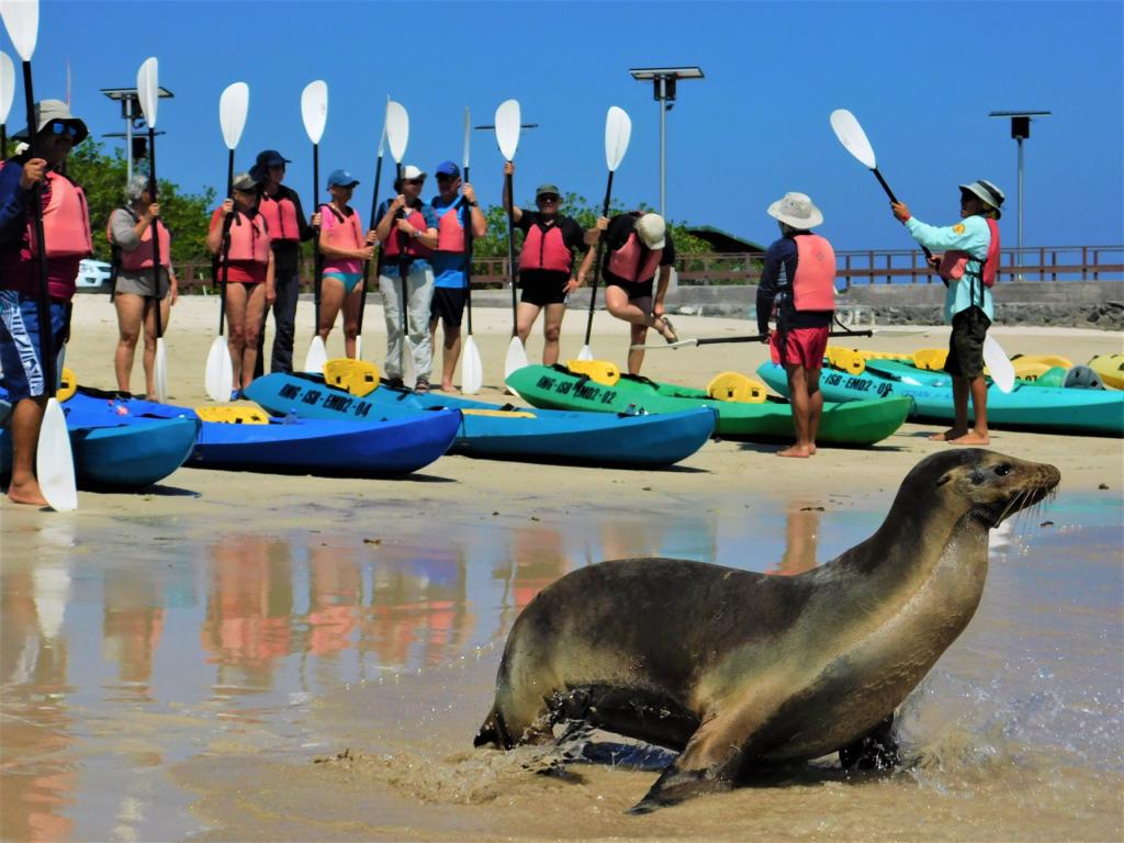 tour kayak Isla Isabela