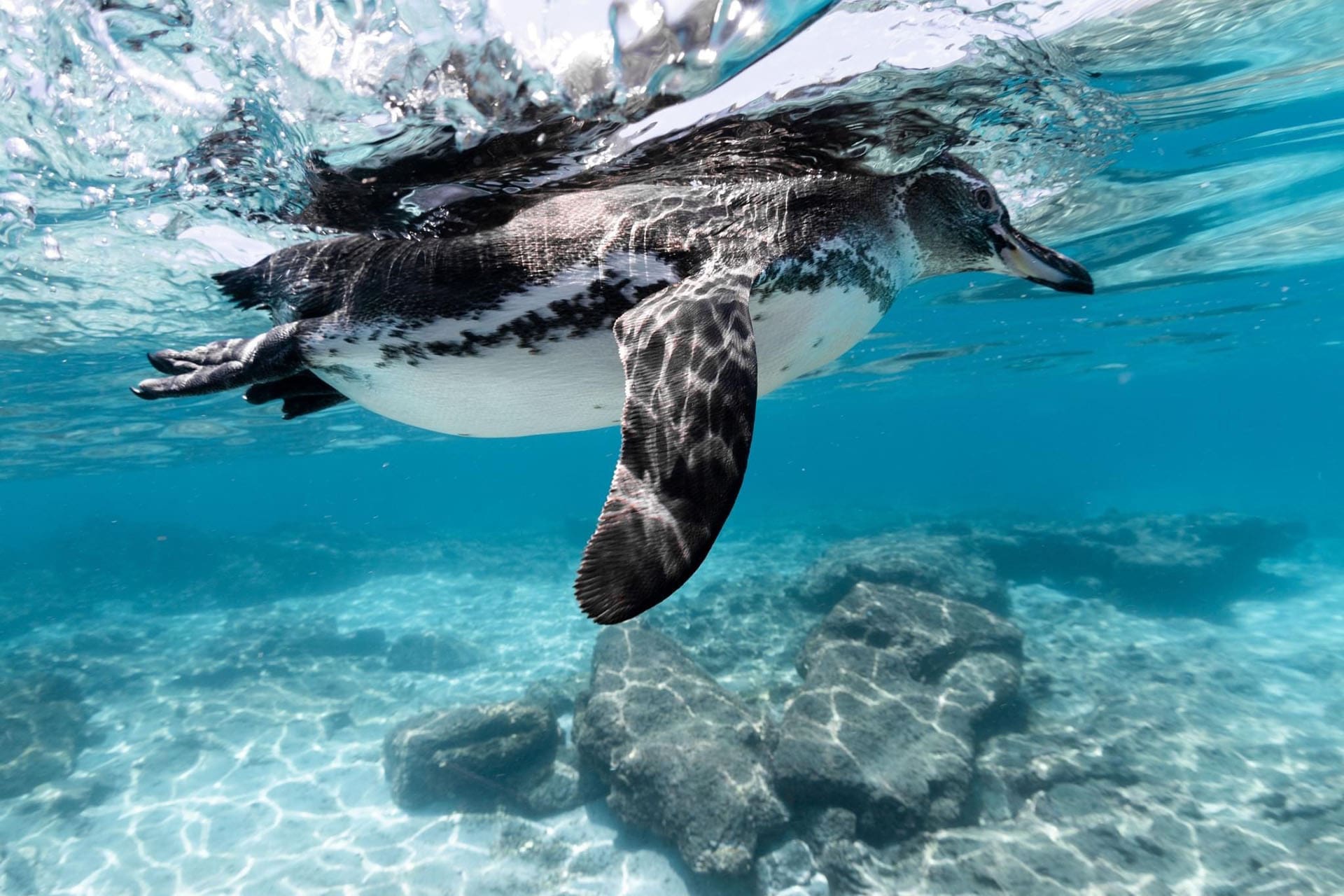 Tour Floreana Galápagos