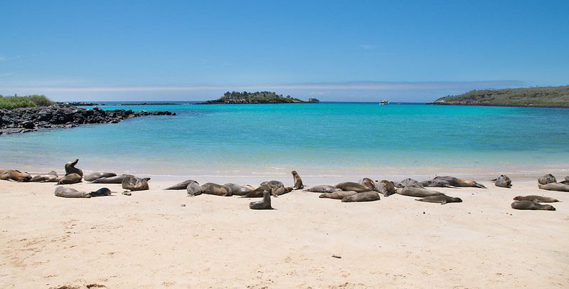 Tour Santa Fe Galápagos