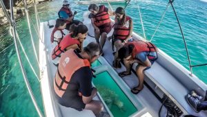 tour de Bahía en Santa Cruz Galápagos