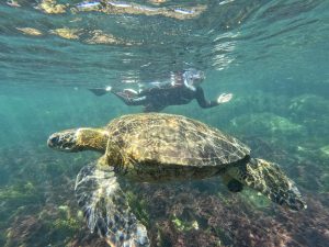 Tour 360 Galápagos