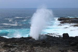 Tour Española Isla San Cristóbal GALÁPAGOS