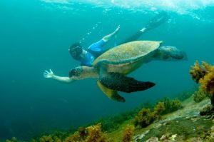 Tour Santa Fe Galápagos