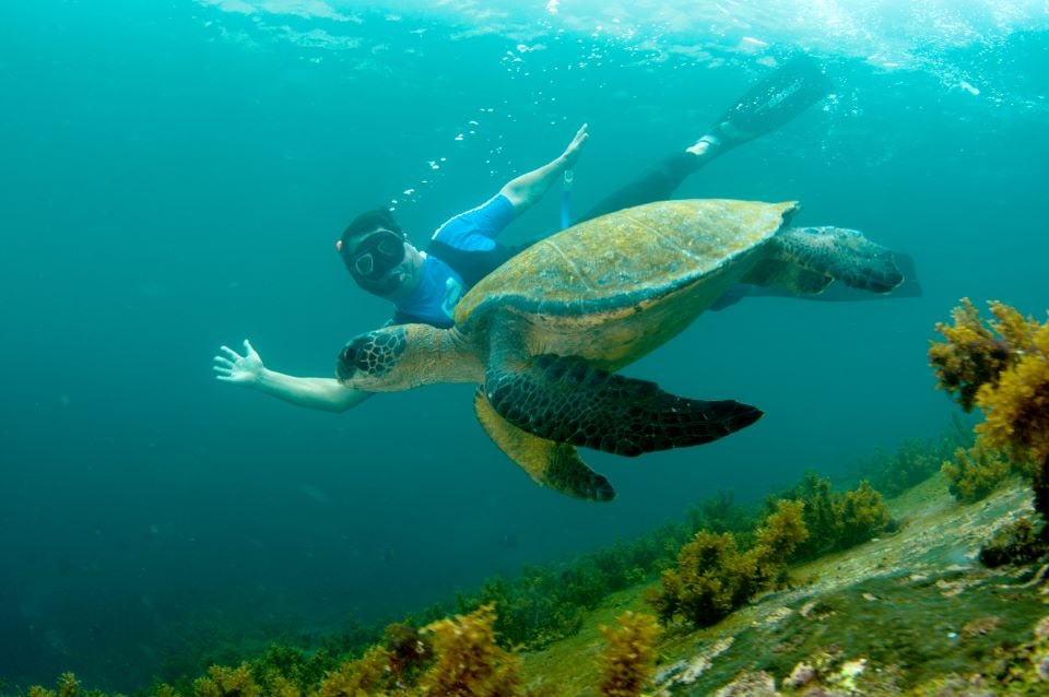Tour Santa Fe Galápagos