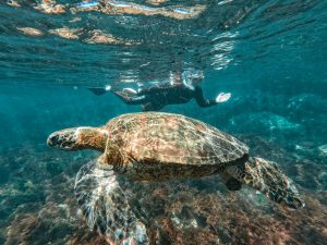 tour los túneles Galápagos
