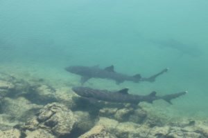 tour 360 galapagos