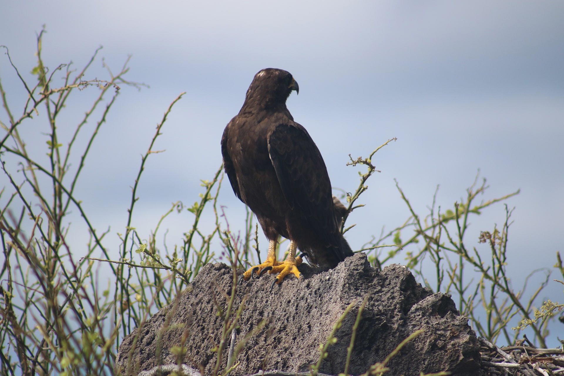 6 Tour Española Isla San Cristóbal GALÁPAGOS-min-2.