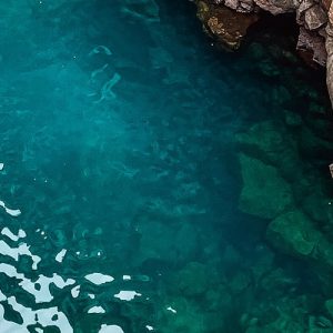 Tour de Bahía en Santa Cruz Galápagos