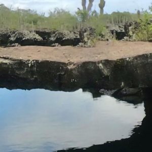 Tour Túneles Cabo Rosa