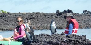 3 Tour de kayak isla isabela -min
