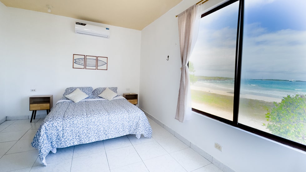 tour leon dormido