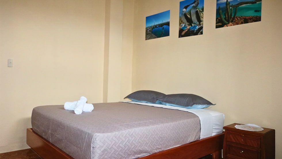 tour leon dormido