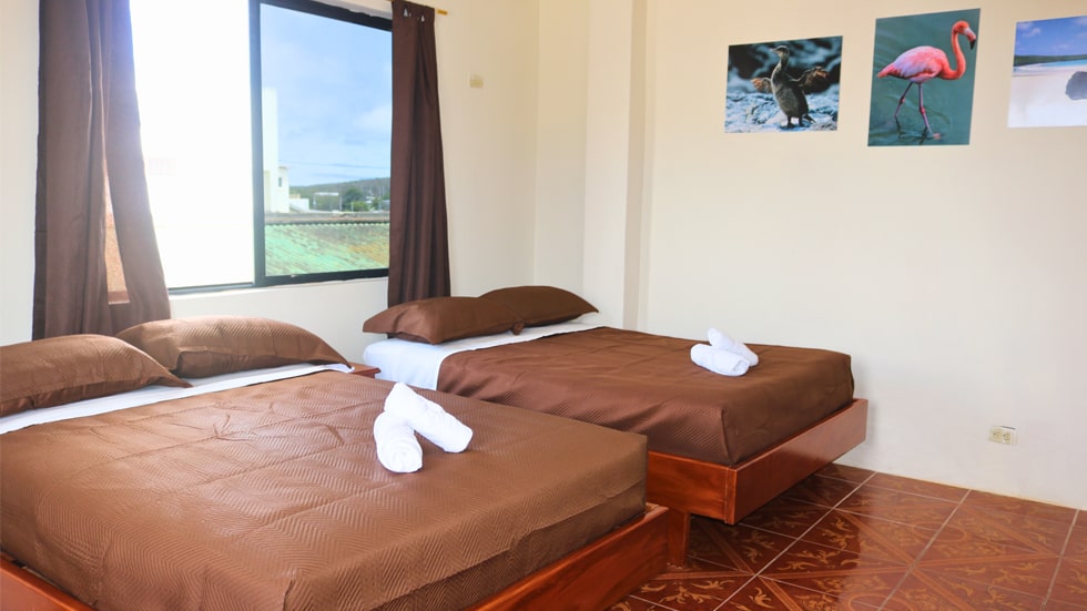 tour leon dormido
