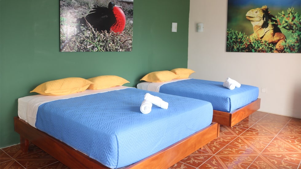Tour Tintoreras Galápagos