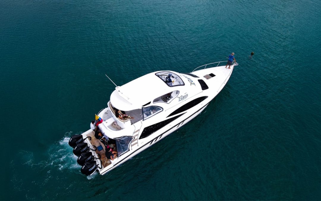 Por qué elegir nuestro Ferry Gaviota Galápagos: comodidad real, experiencia local y conexión real